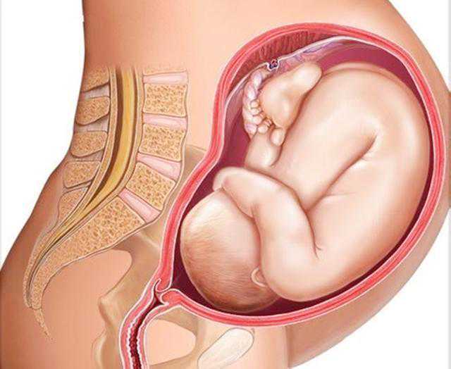 懷孕初期變化與護理指南