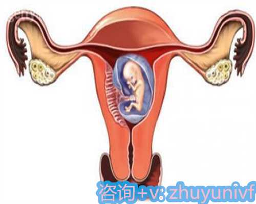 解析夏冬兩季受孕幾率：探尋最佳懷孕時(shí)機(jī)